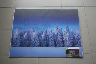 Poster - Snowy forest